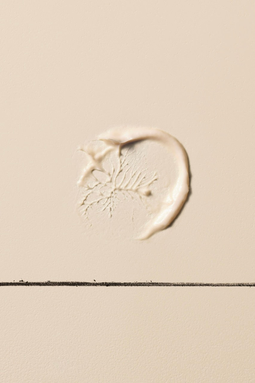 Parsley Seed Anti-Oxidant Eye Cream